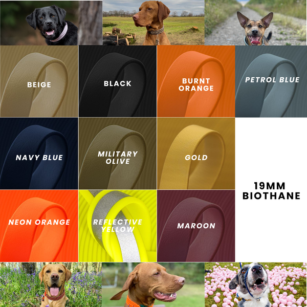 The Fixie BioThane Dog Collar - Customise