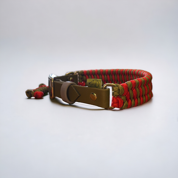 Ranger Red Collar & Lead Set
