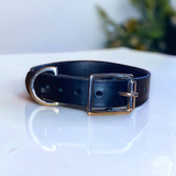 Luxury Classic Black Leather Dog Collar