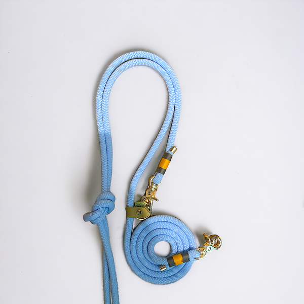 Greenwich Yarn Handsfree Adjustable Dog Lead - Monkey Blue