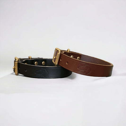 Luxury Classic Leather Dog Collar | Black or Chestnut Brown - Green Dog