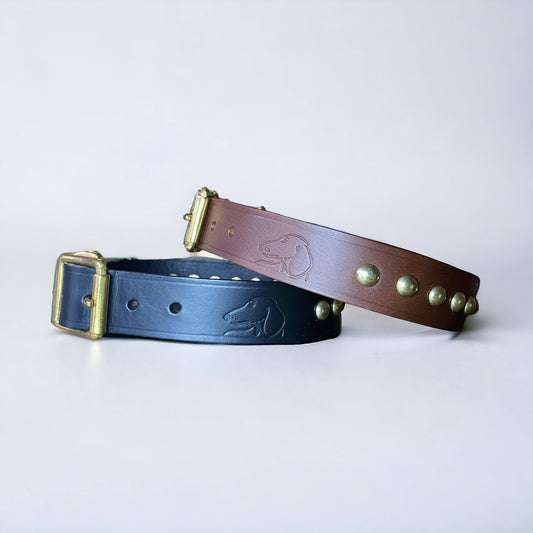 Studded Leather Dog Collar | Black or Chestnut Brown - Green Dog