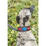 Lurcher Polo Leather Dog Collar