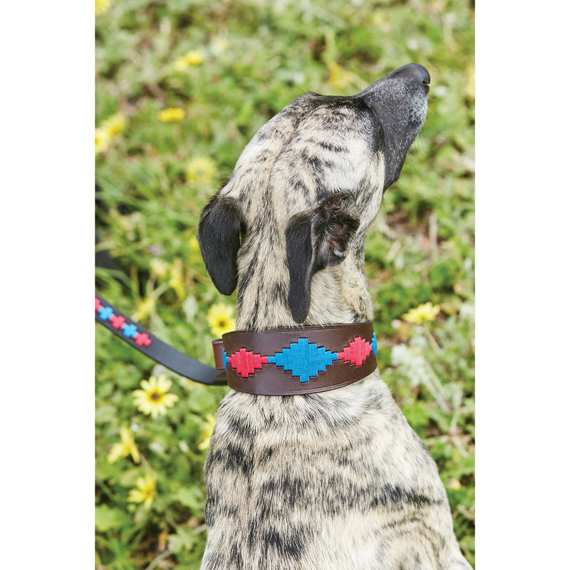 Lurcher Polo Leather Dog Collar