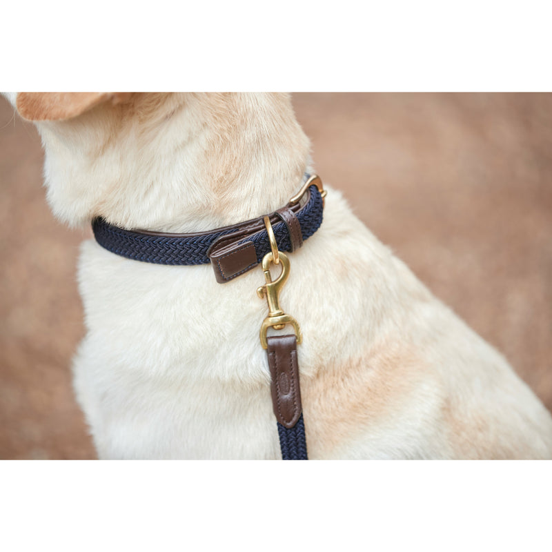 Leather Plaited Dog Collar