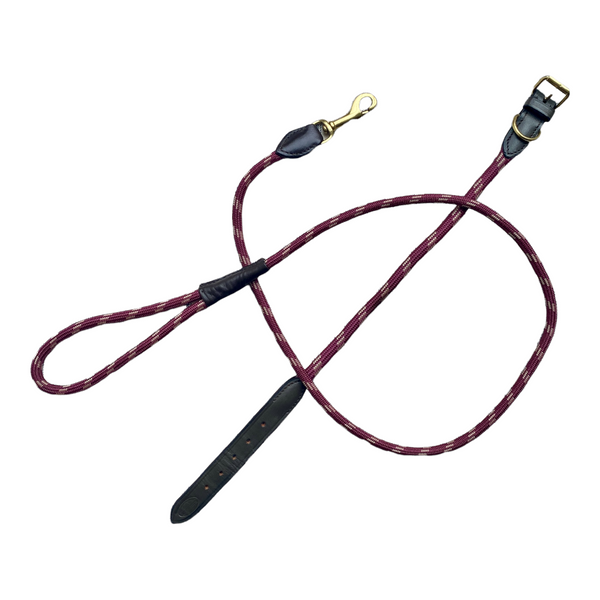 Rope Leather Dog Lead