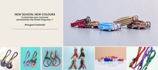 The Perfect Summer Dog Accessories: Fresh Colours, Handmade Style
