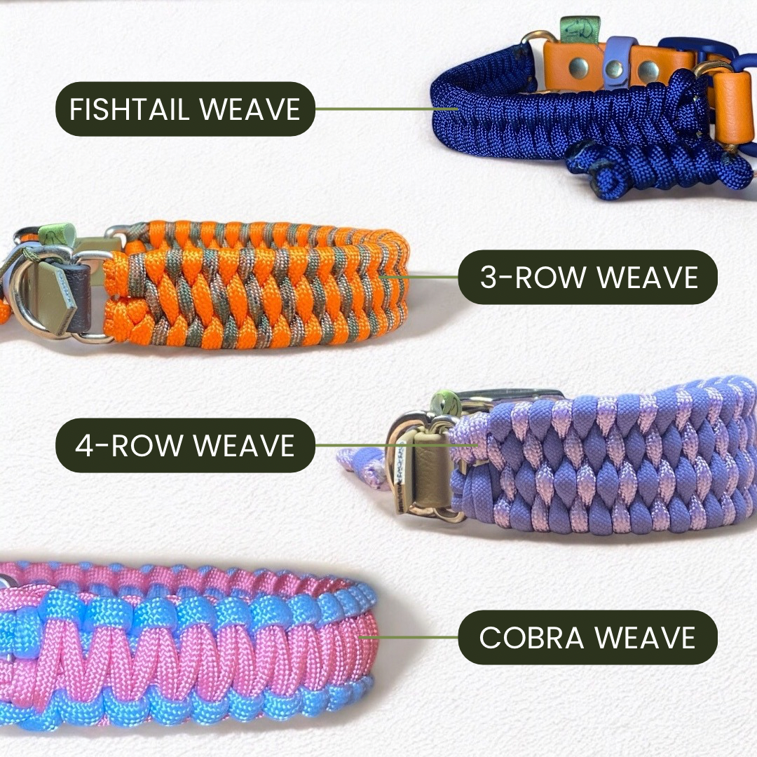 Custom Dog Collar with BioThane® Adjustable Adapter Green Dog