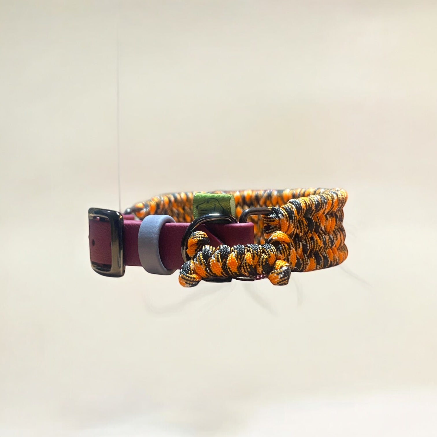 Orange Came Dog Collar with Maroon Adjustable strap and gun-metal hardware