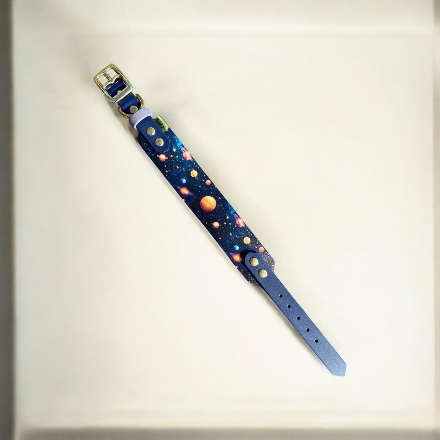 Monkey's latest dog collar called the Space Monkey